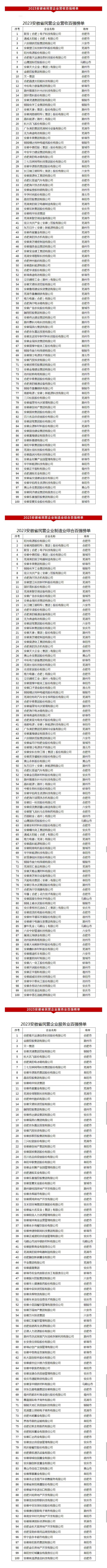 2023安徽省民营企业营收百强榜单(1).jpg